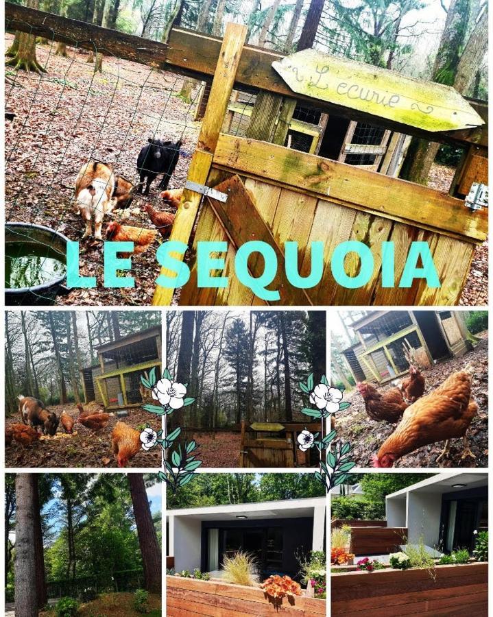 Le Sequoia Apartamento Saint-Sébastien-sur-Loire Exterior foto
