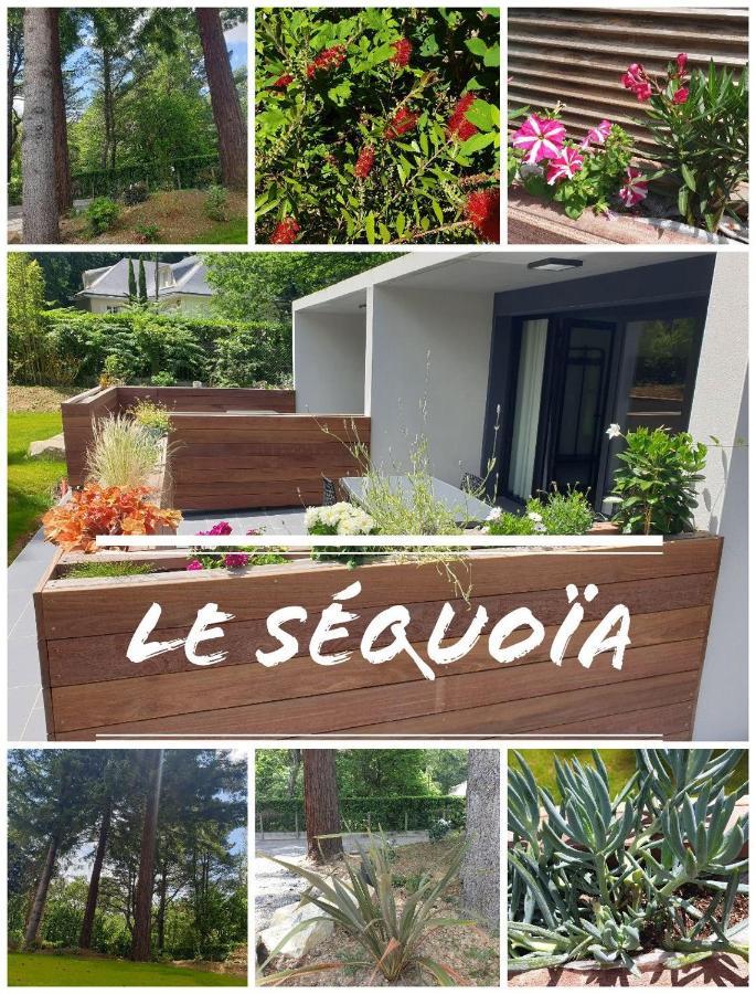 Le Sequoia Apartamento Saint-Sébastien-sur-Loire Exterior foto